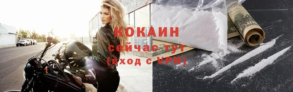 apvp Тайга