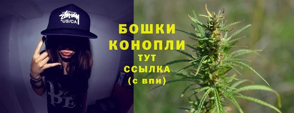 молекула духа Тавда