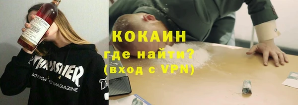 apvp Тайга