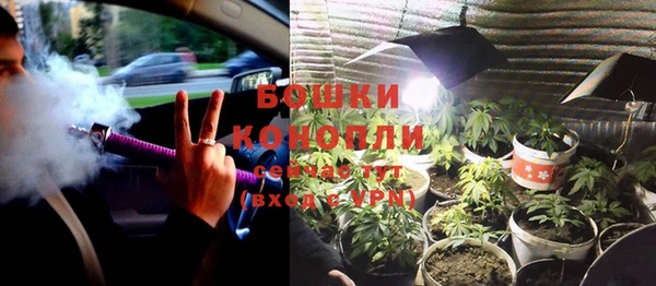 ПСИЛОЦИБИНОВЫЕ ГРИБЫ Богородицк