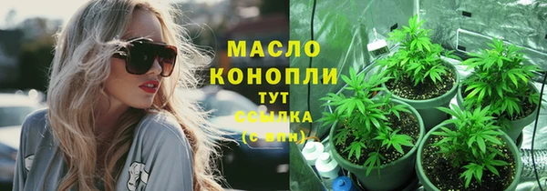 сатива Сясьстрой