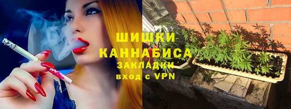 mdpv Богданович