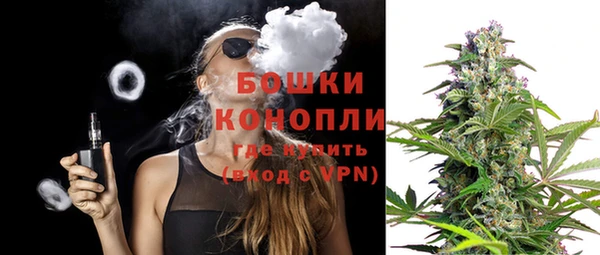 сатива Сясьстрой